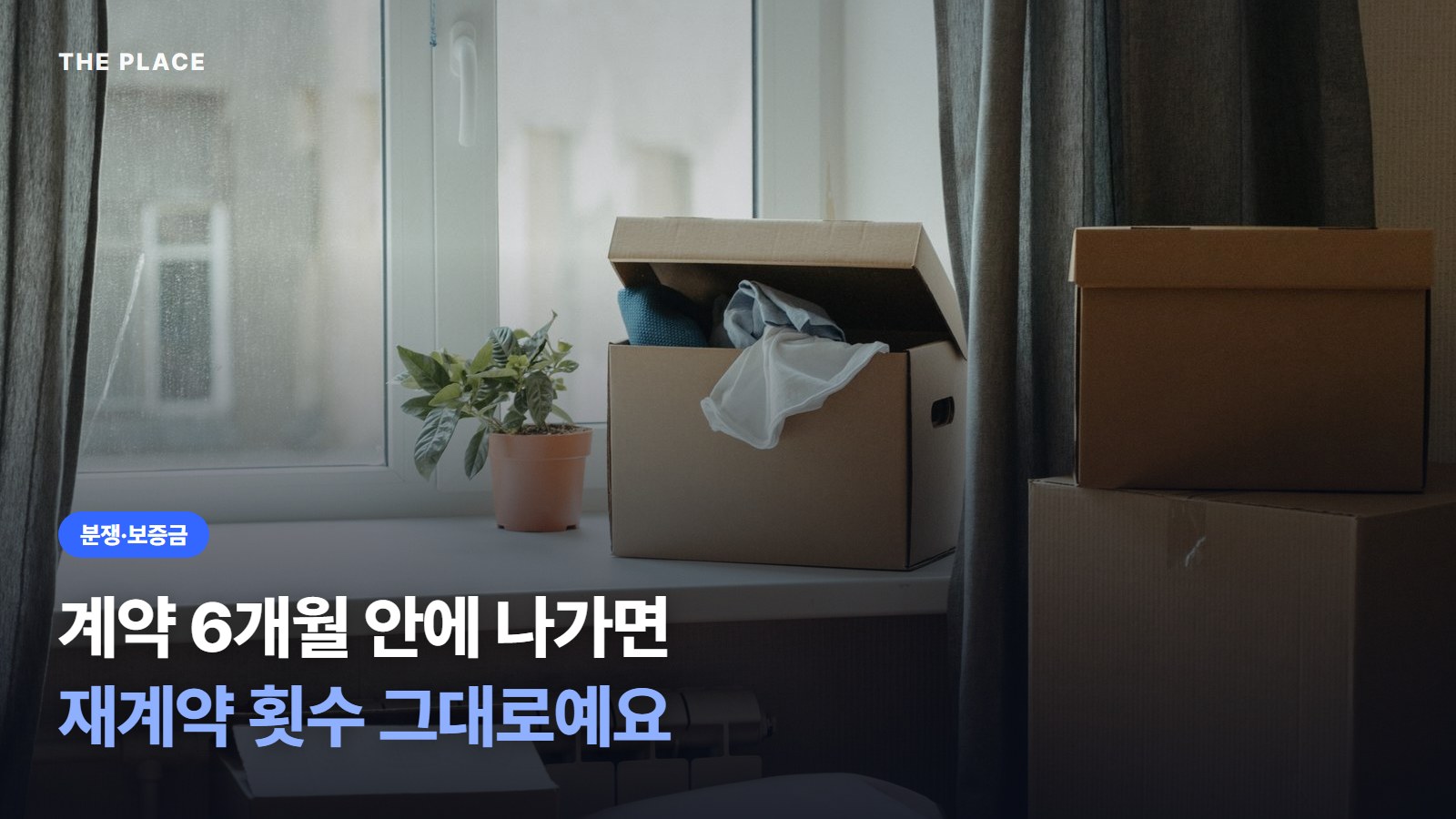계약 6개월 안에 나가면 재계약 횟수 그대로예요