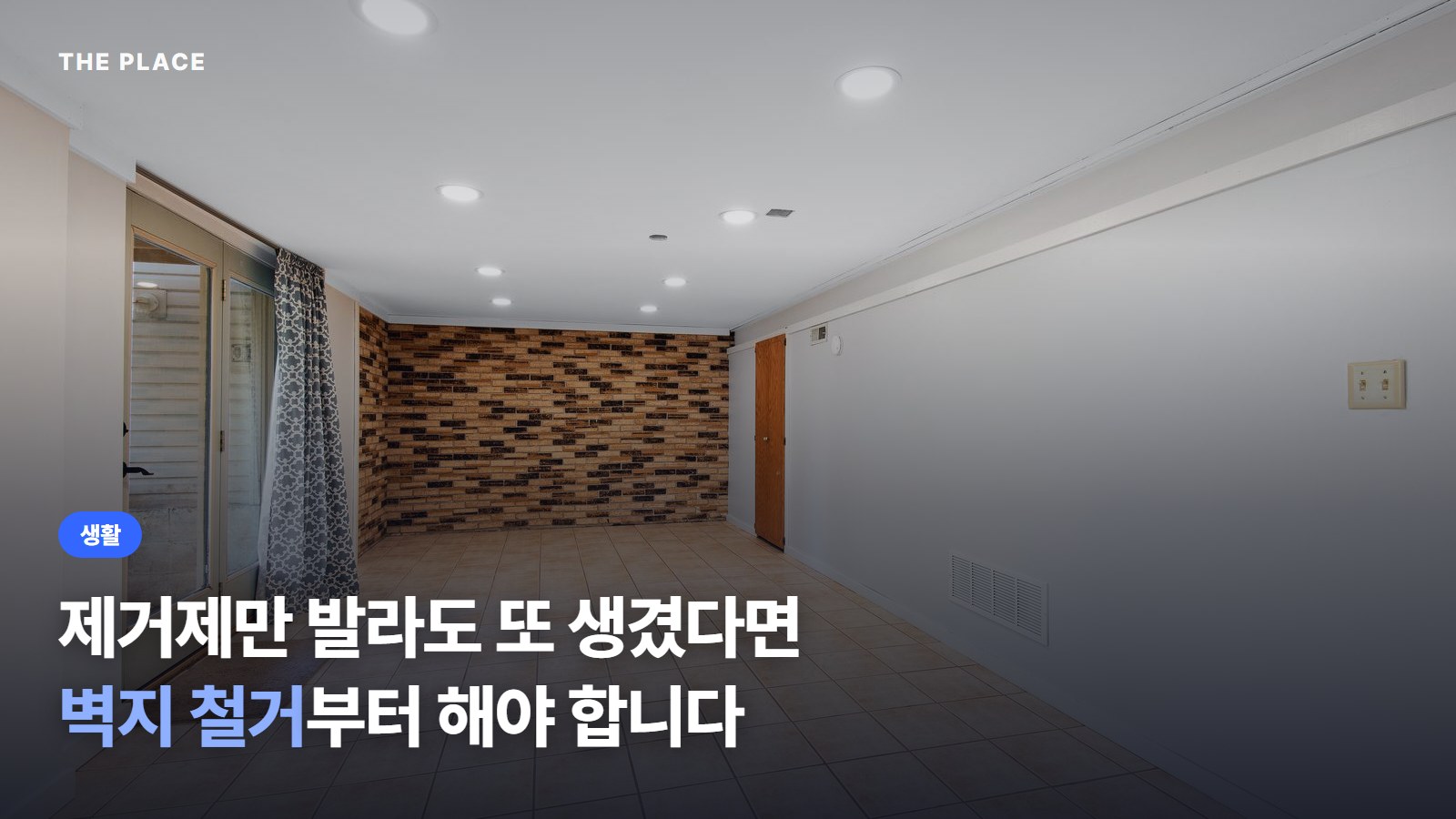 제거제만 발라도 또 생겼다면 벽지 철거부터 해야 합니다