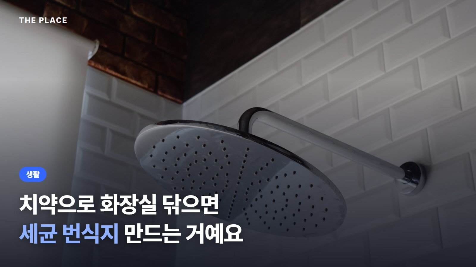 치약으로 화장실 닦으면 세균 번식지 만드는 거예요
