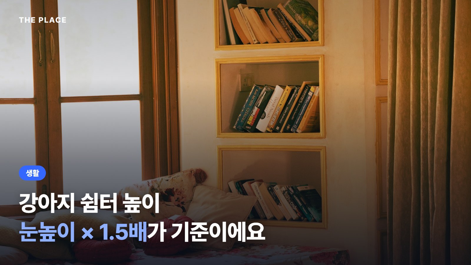 강아지 쉼터 높이 눈높이 × 1.5배가 기준이에요