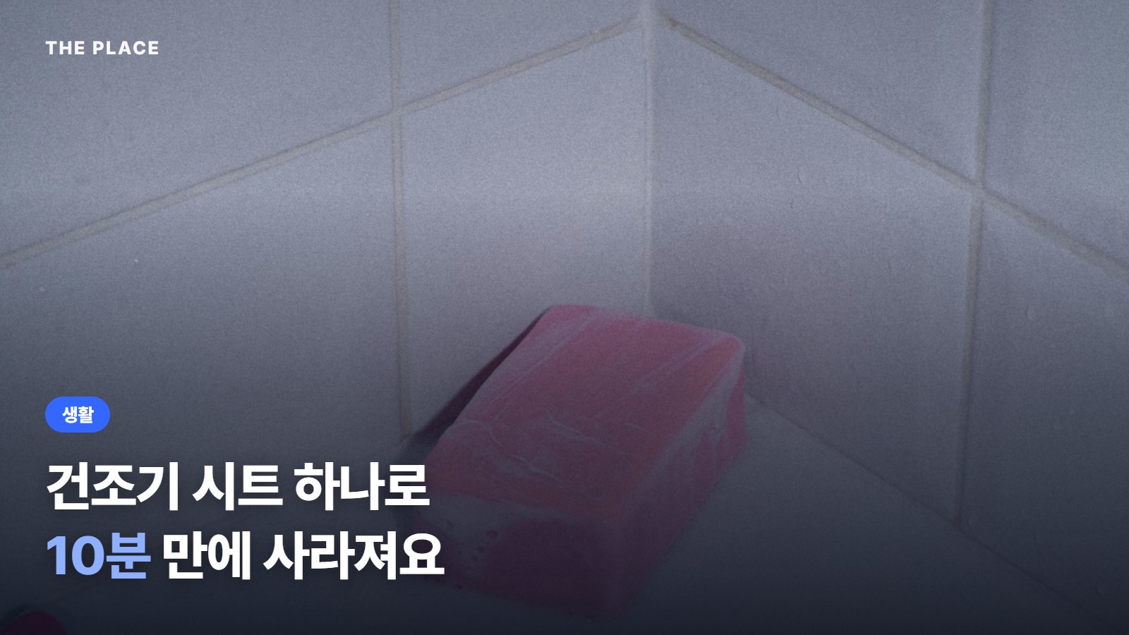 건조기 시트 하나로 10분 만에 사라져요