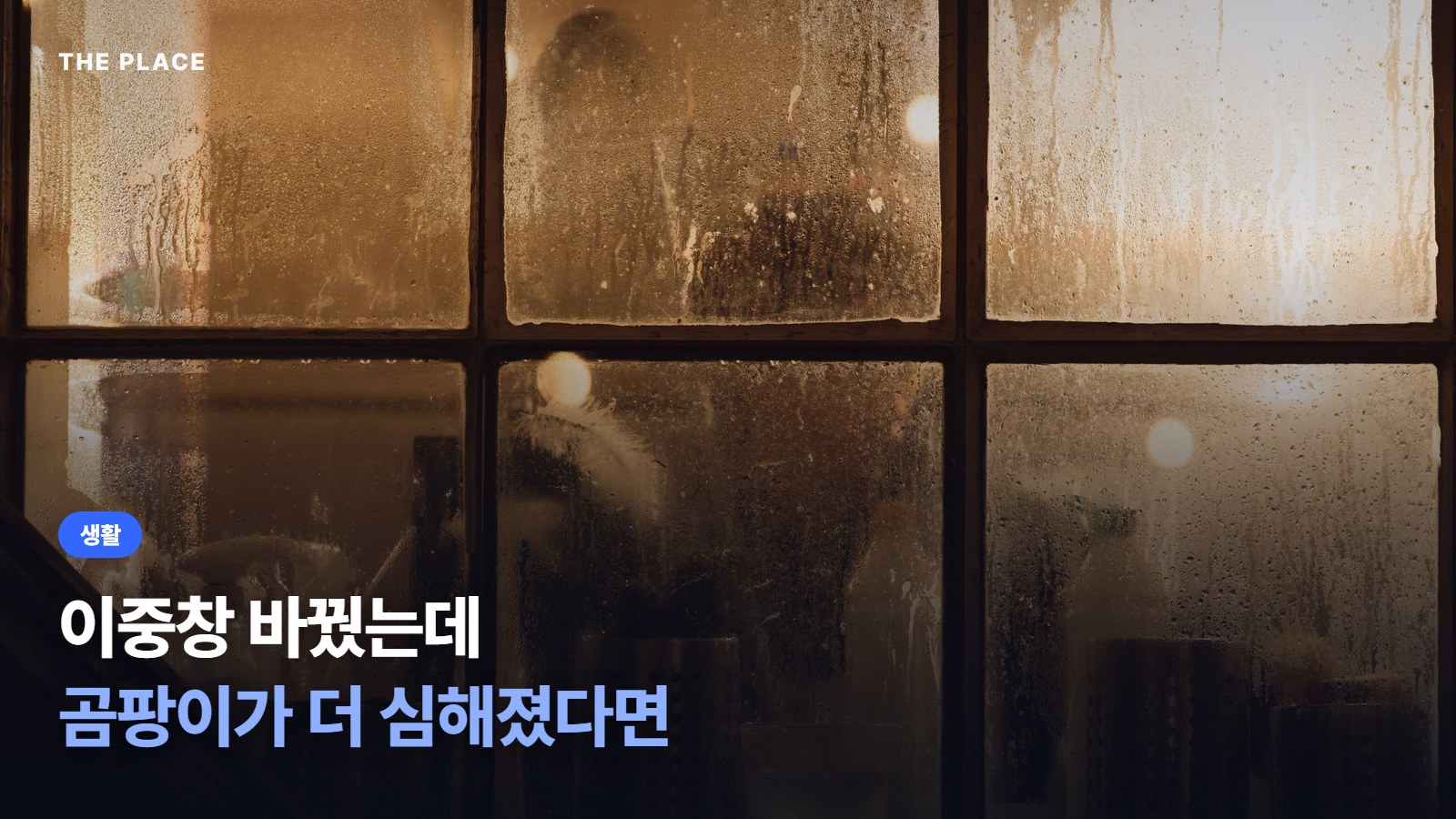 이중창 바꿨는데 곰팡이가 더 심해졌다면