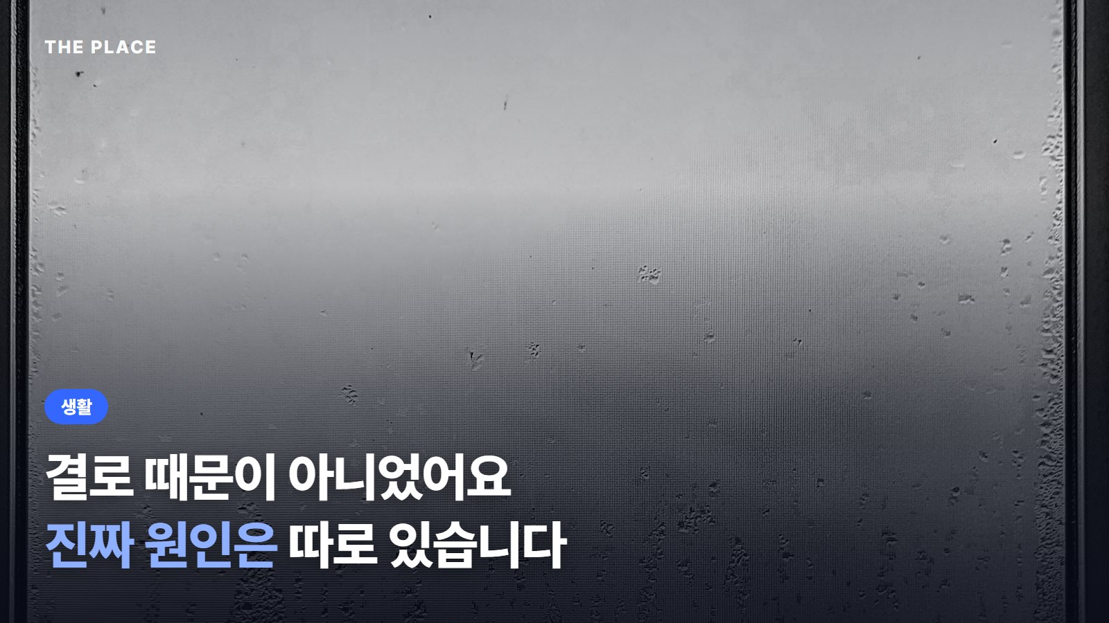 결로 때문이 아니었어요 진짜 원인은 따로 있습니다