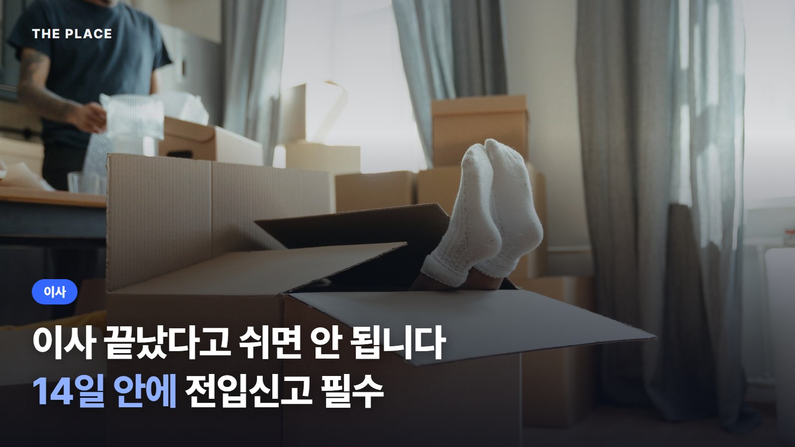 이사 끝났다고 쉬면 안 됩니다 14일 안에 전입신고 필수