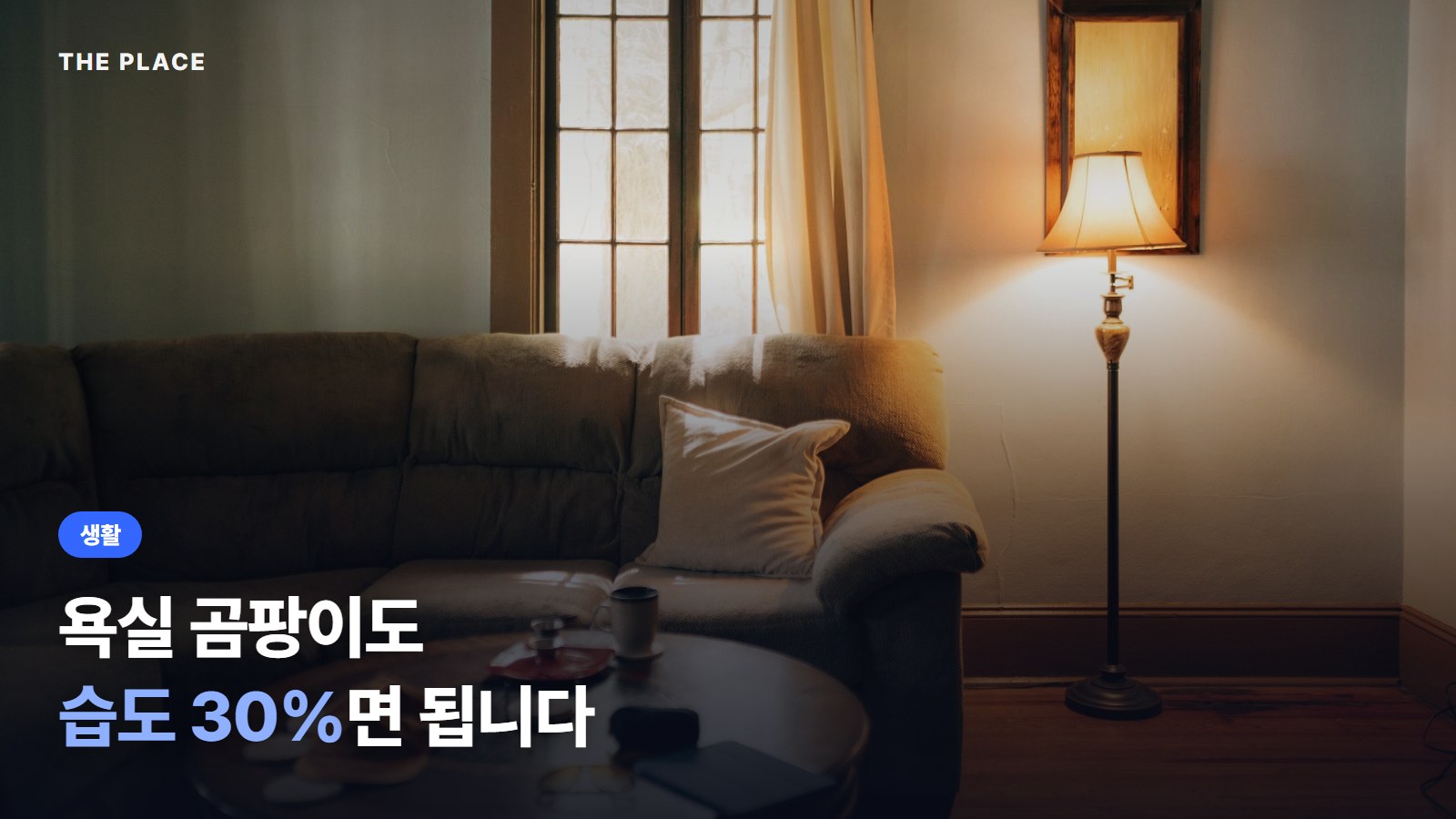 욕실 곰팡이도 습도 30%면 됩니다