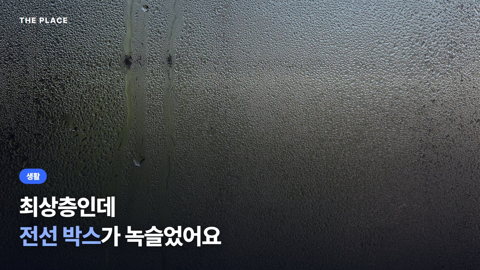 최상층인데 전선 박스가 녹슬었어요