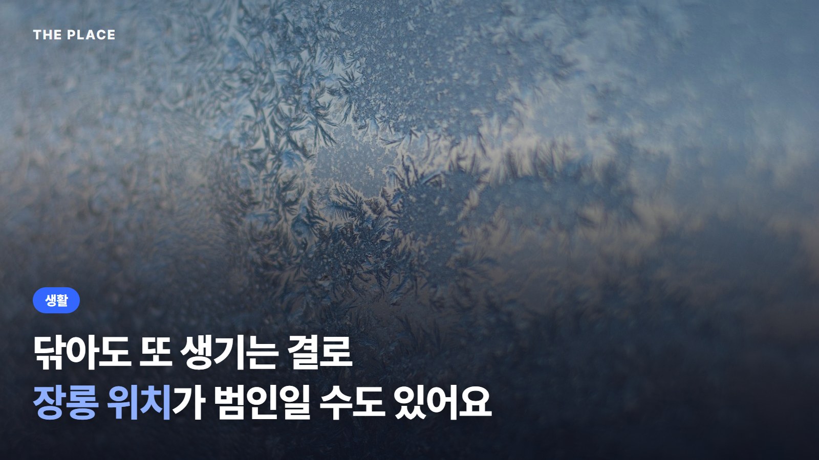 닦아도 또 생기는 결로 장롱 위치가 범인일 수도 있어요
