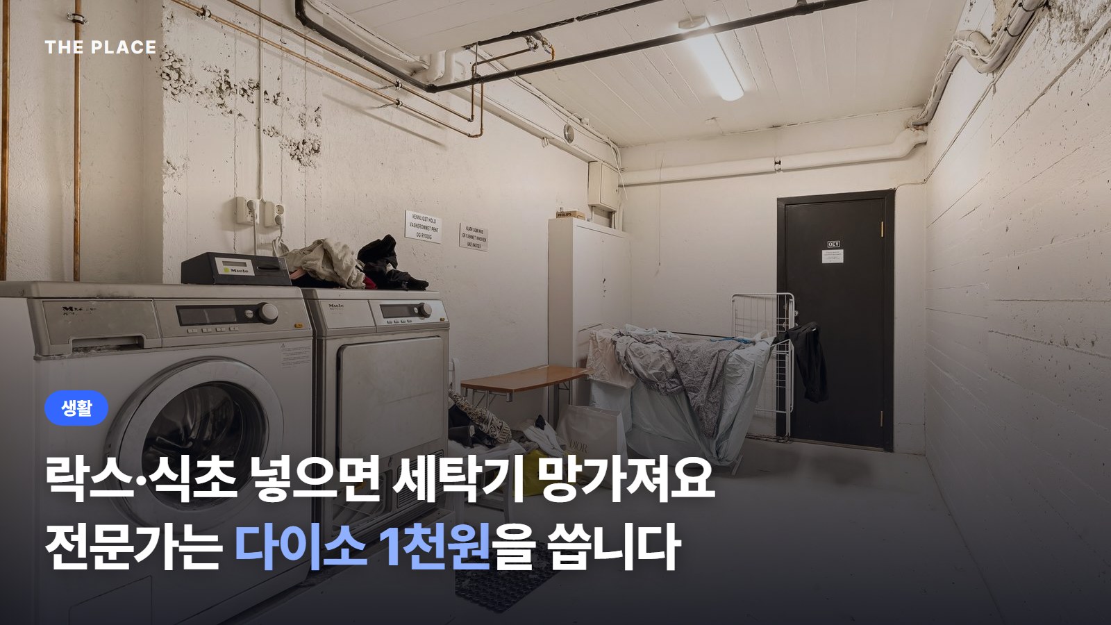 락스·식초 넣으면 세탁기 망가져요 전문가는 다이소 1천원을 씁니다