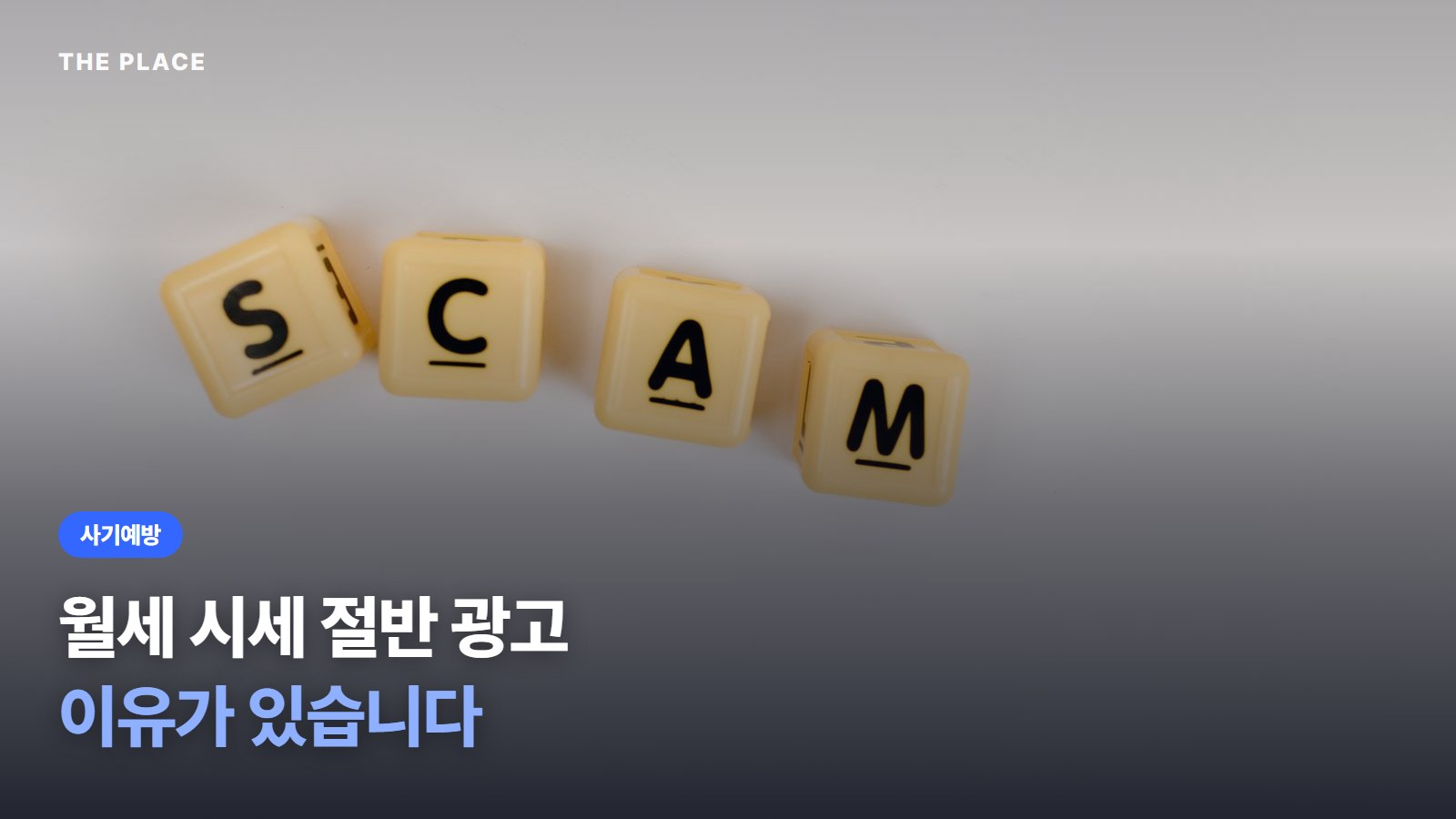 월세 시세 절반 광고 이유가 있습니다