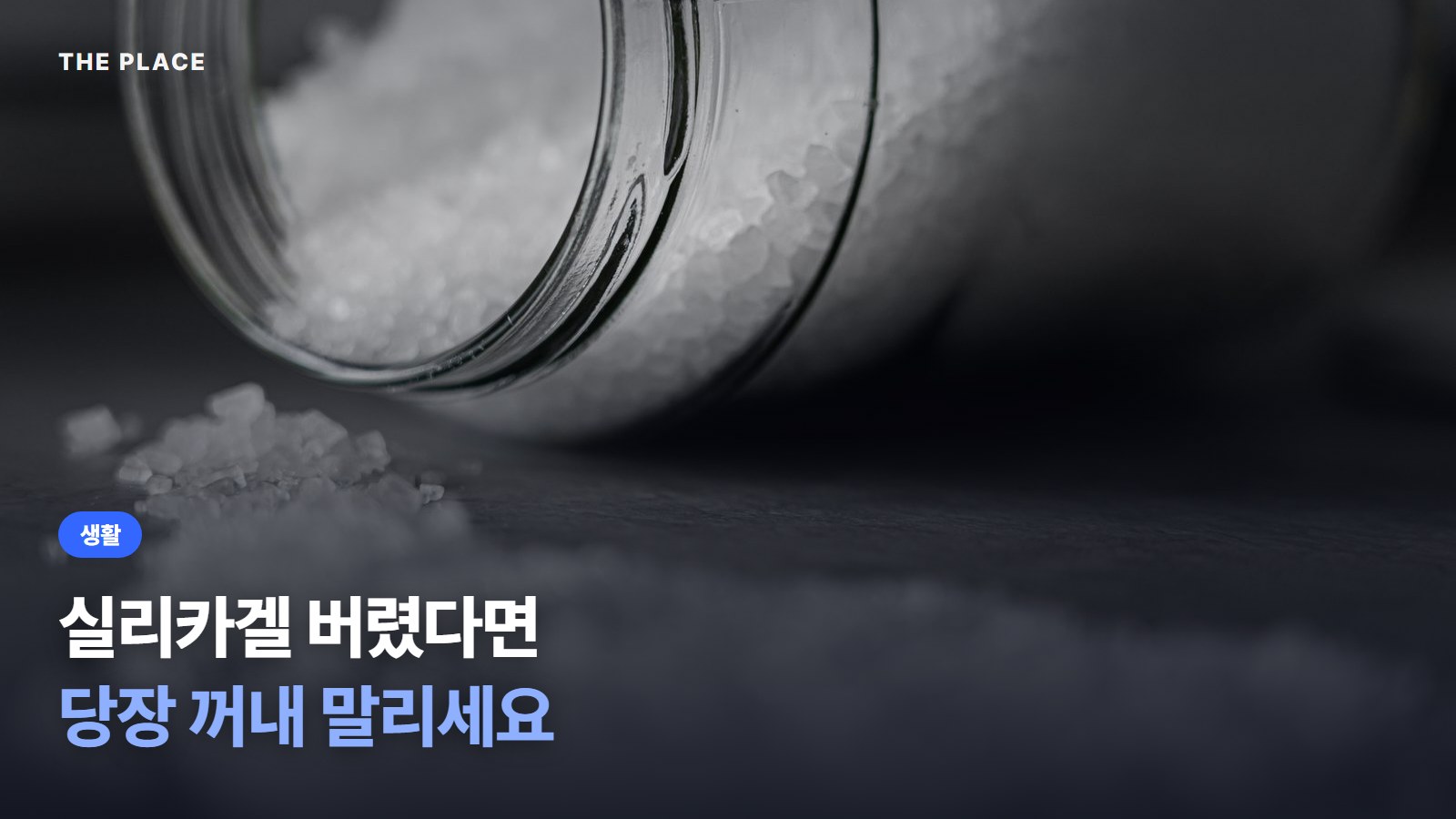 실리카겔 버렸다면 당장 꺼내 말리세요