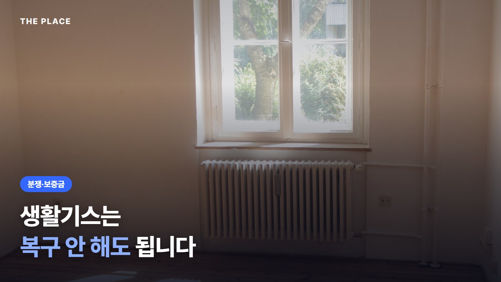생활기스는 복구 안 해도 됩니다