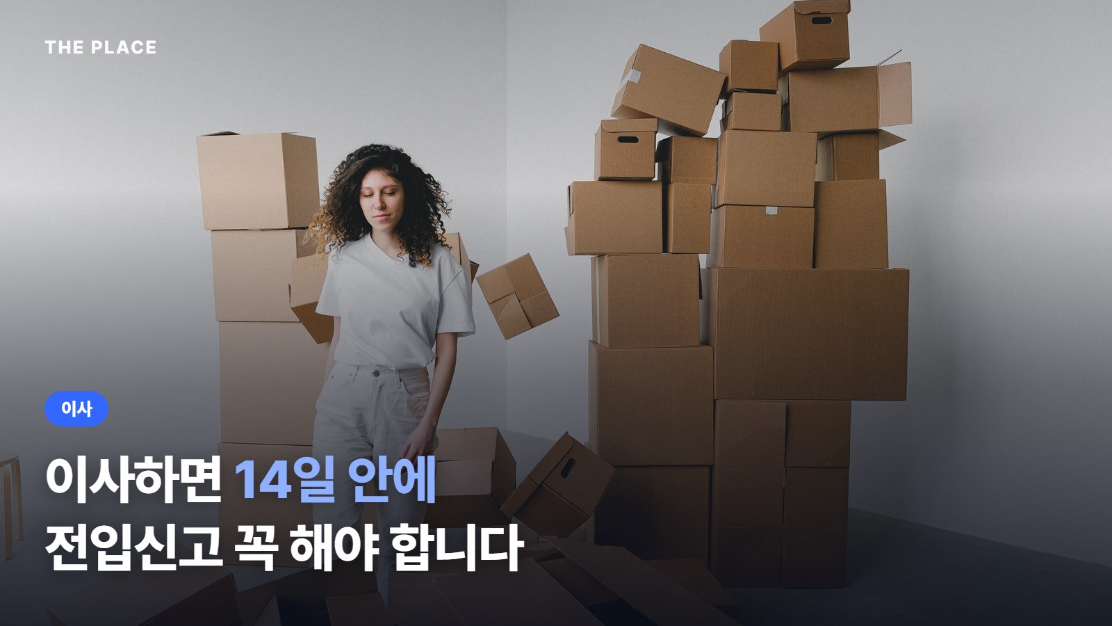 이사하면 14일 안에 전입신고 꼭 해야 합니다
