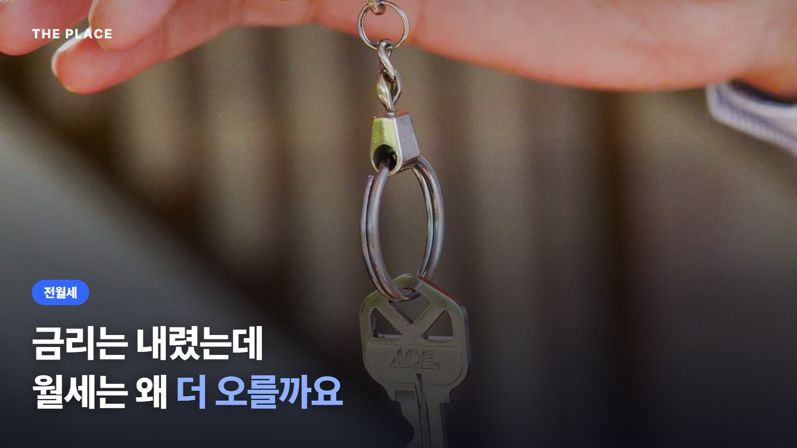 금리는 내렸는데 월세는 왜 더 오를까요