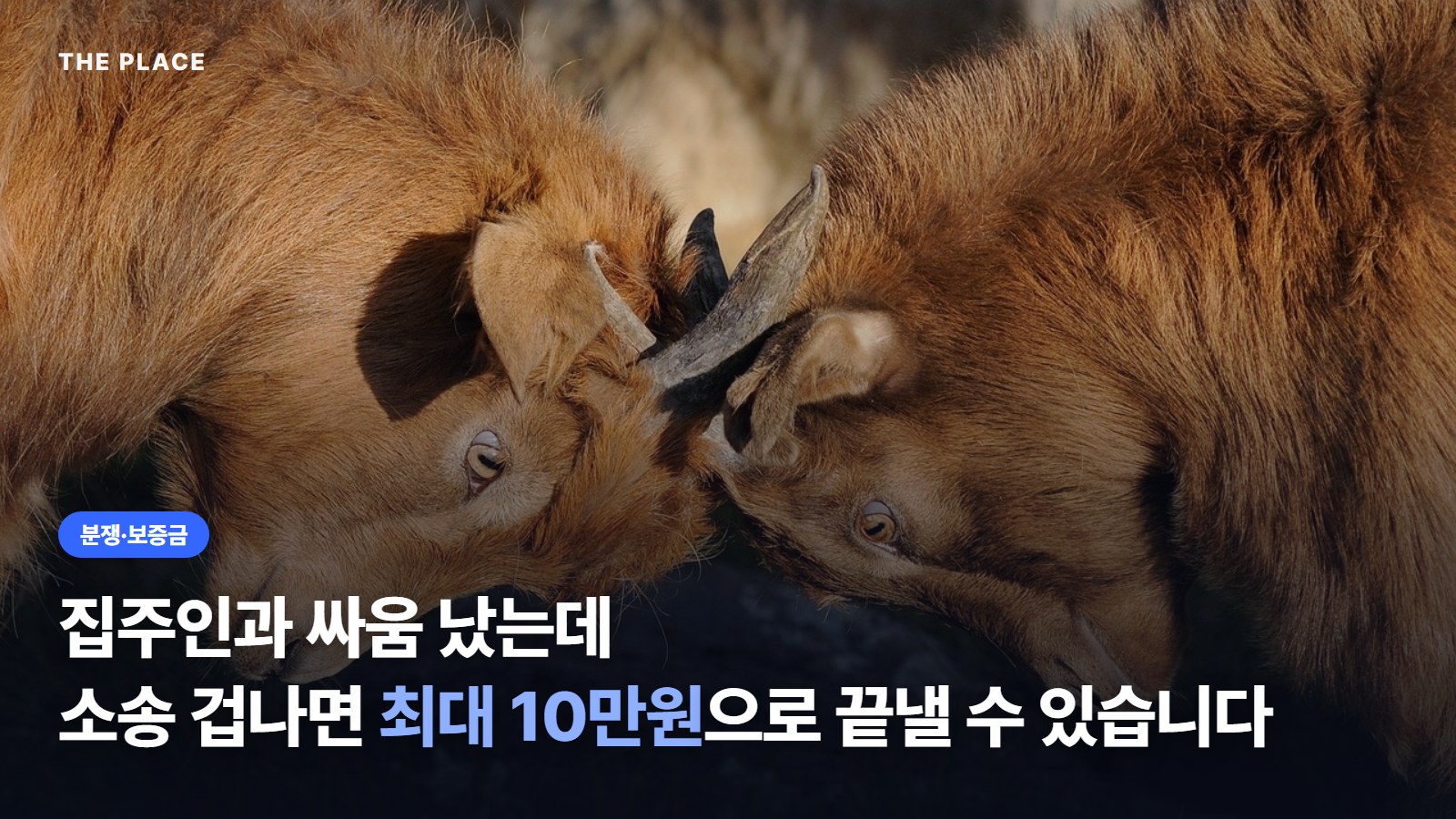 집주인과 싸움 났는데 소송 겁나면 최대 10만원으로 끝낼 수 있습니다