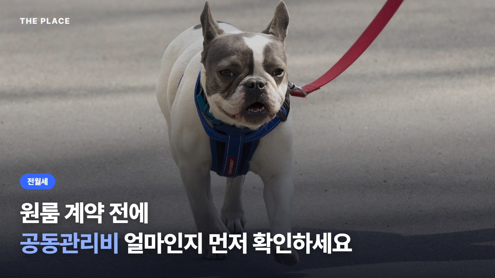 원룸 계약 전에 공동관리비 얼마인지 먼저 확인하세요