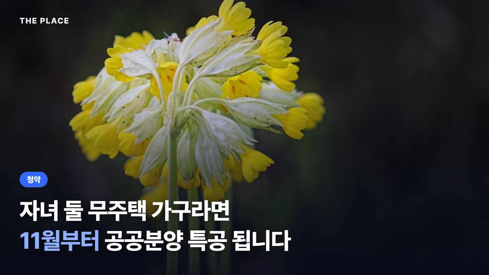 자녀 둘 무주택 가구라면 공공분양 특공 됩니다