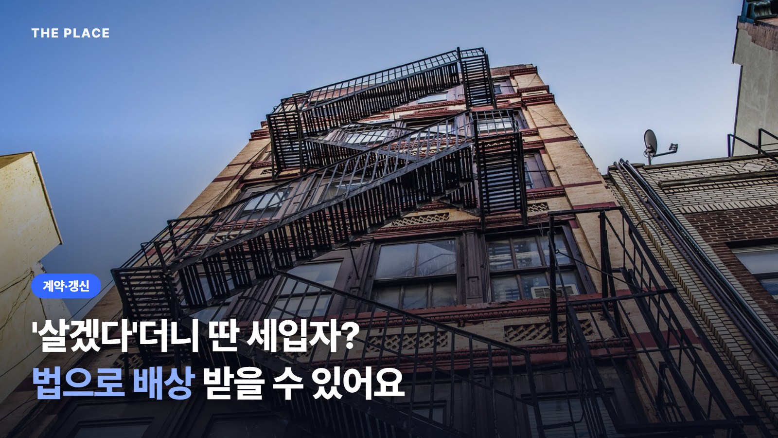 '살겠다'더니 딴 세입자? / 법으로 배상 받을 수 있어요