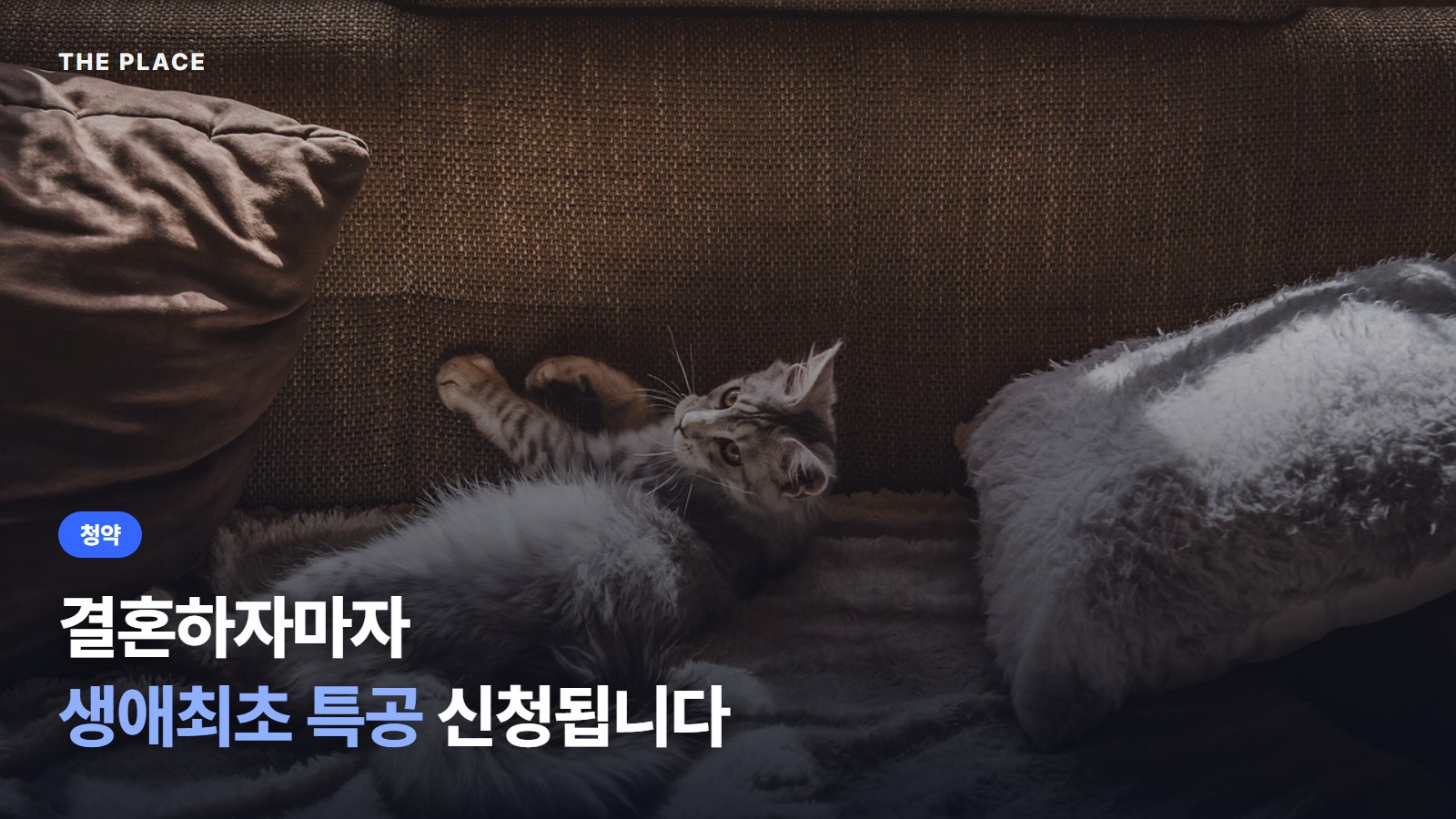 결혼하자마자 생애최초 특공 신청됩니다