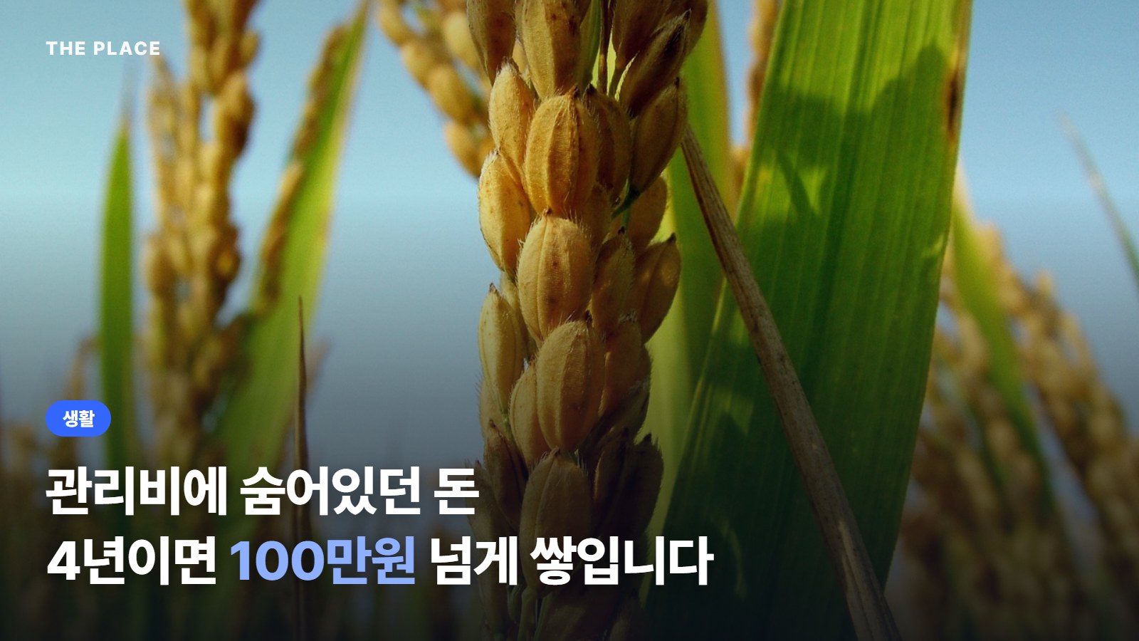 관리비에 숨어있던 돈 4년이면 100만원 넘게 쌓입니다