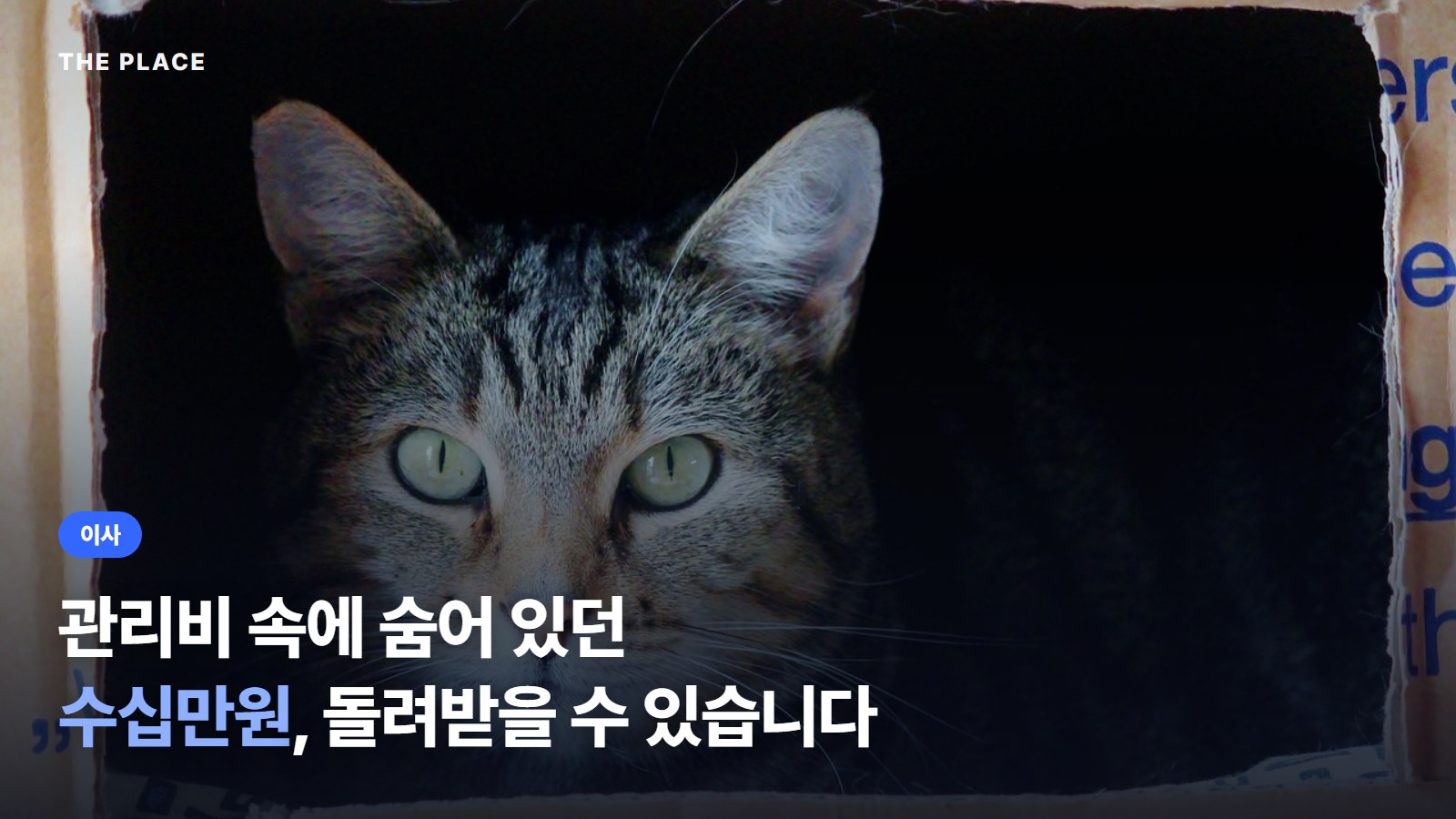 관리비 속에 숨어 있던 수십만원, 돌려받을 수 있습니다