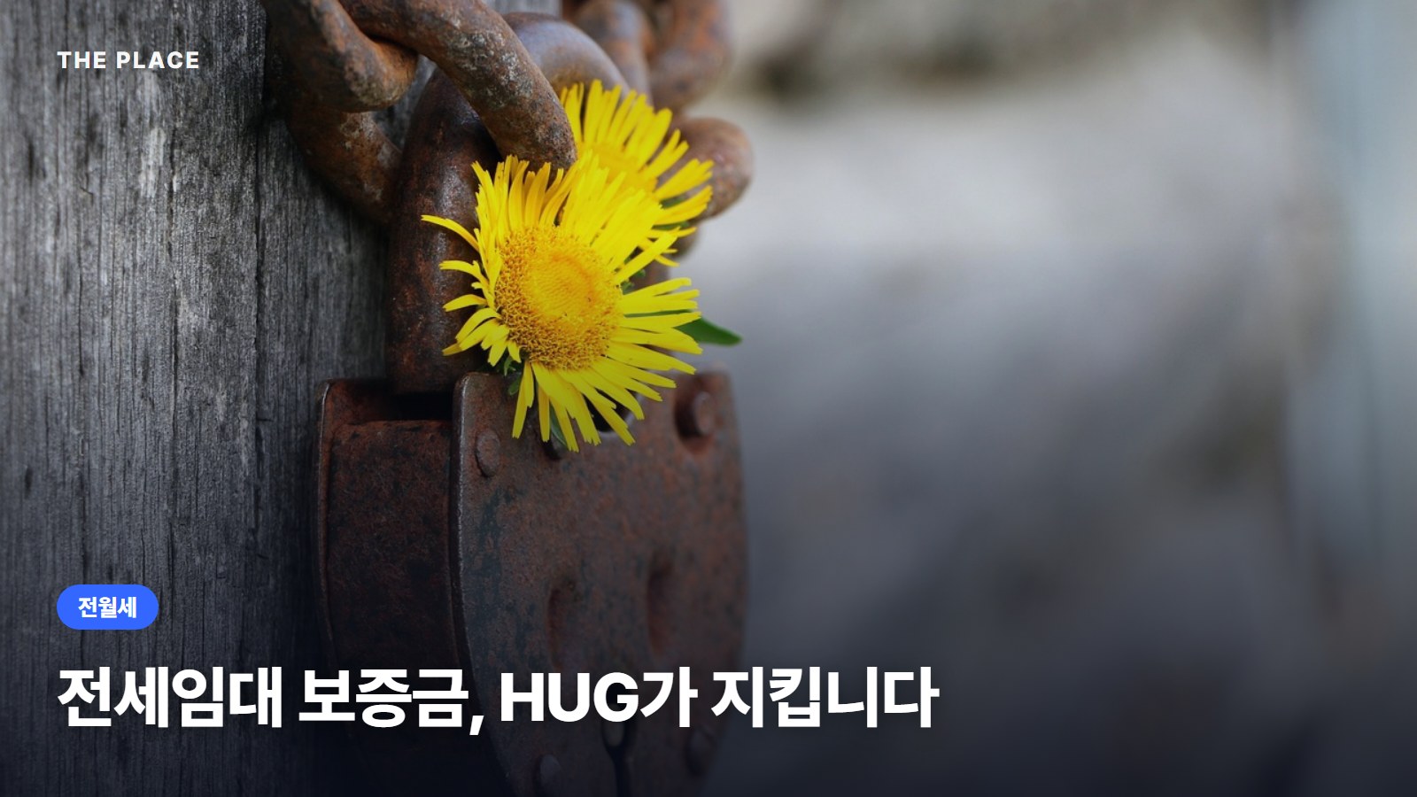 전세임대 보증금, HUG가 지킵니다