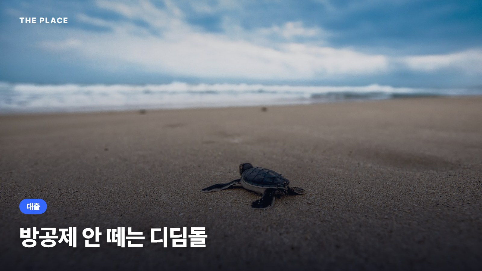 방공제 안 떼는 디딤돌
