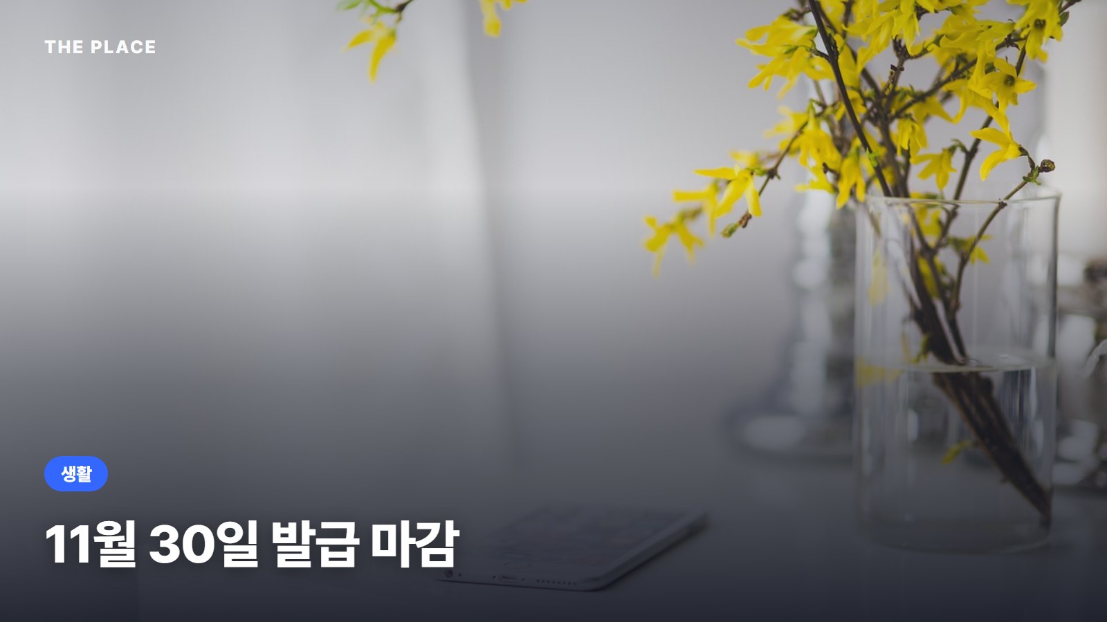 11월 30일 발급 마감