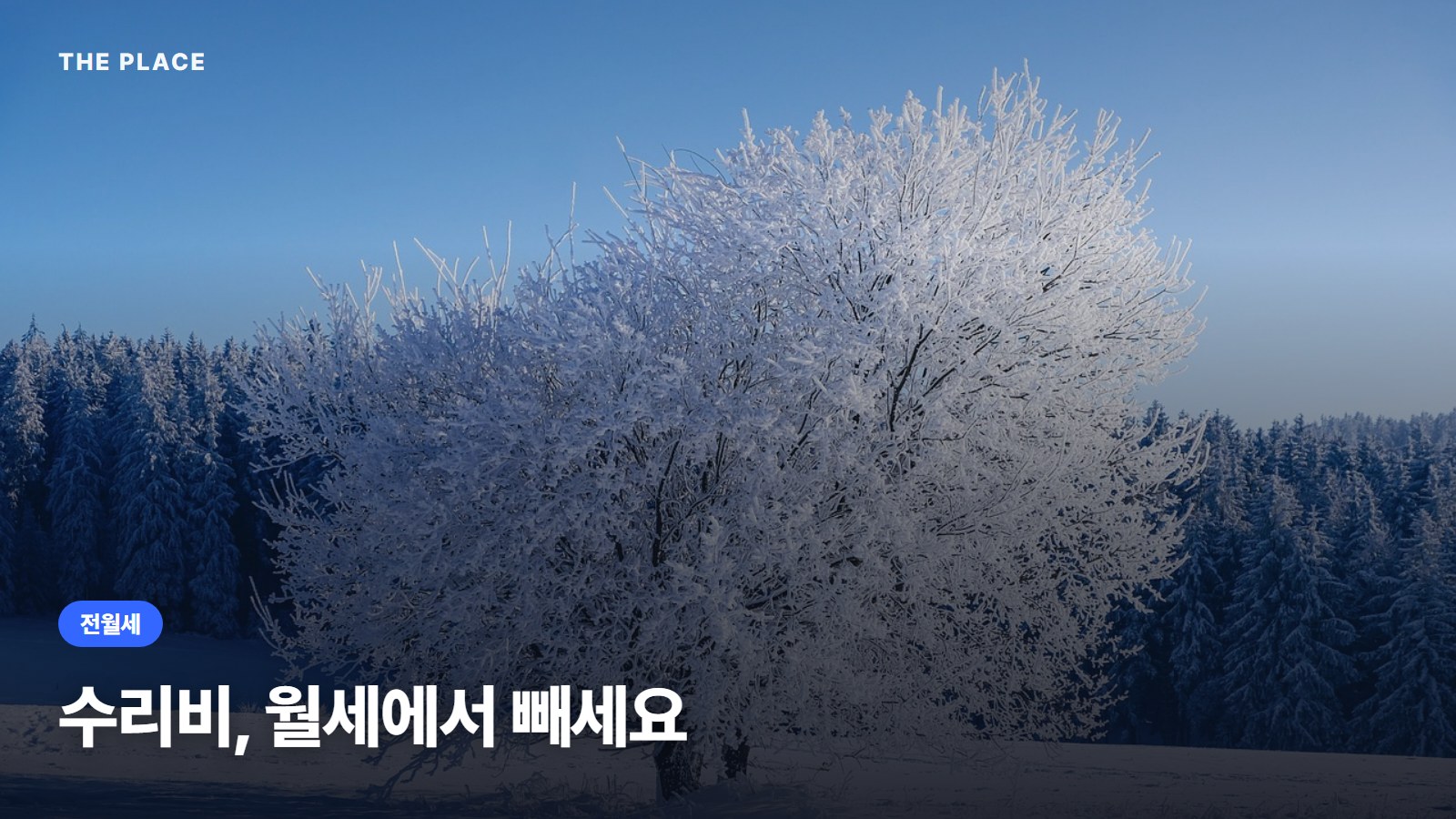 수리비, 월세에서 빼세요