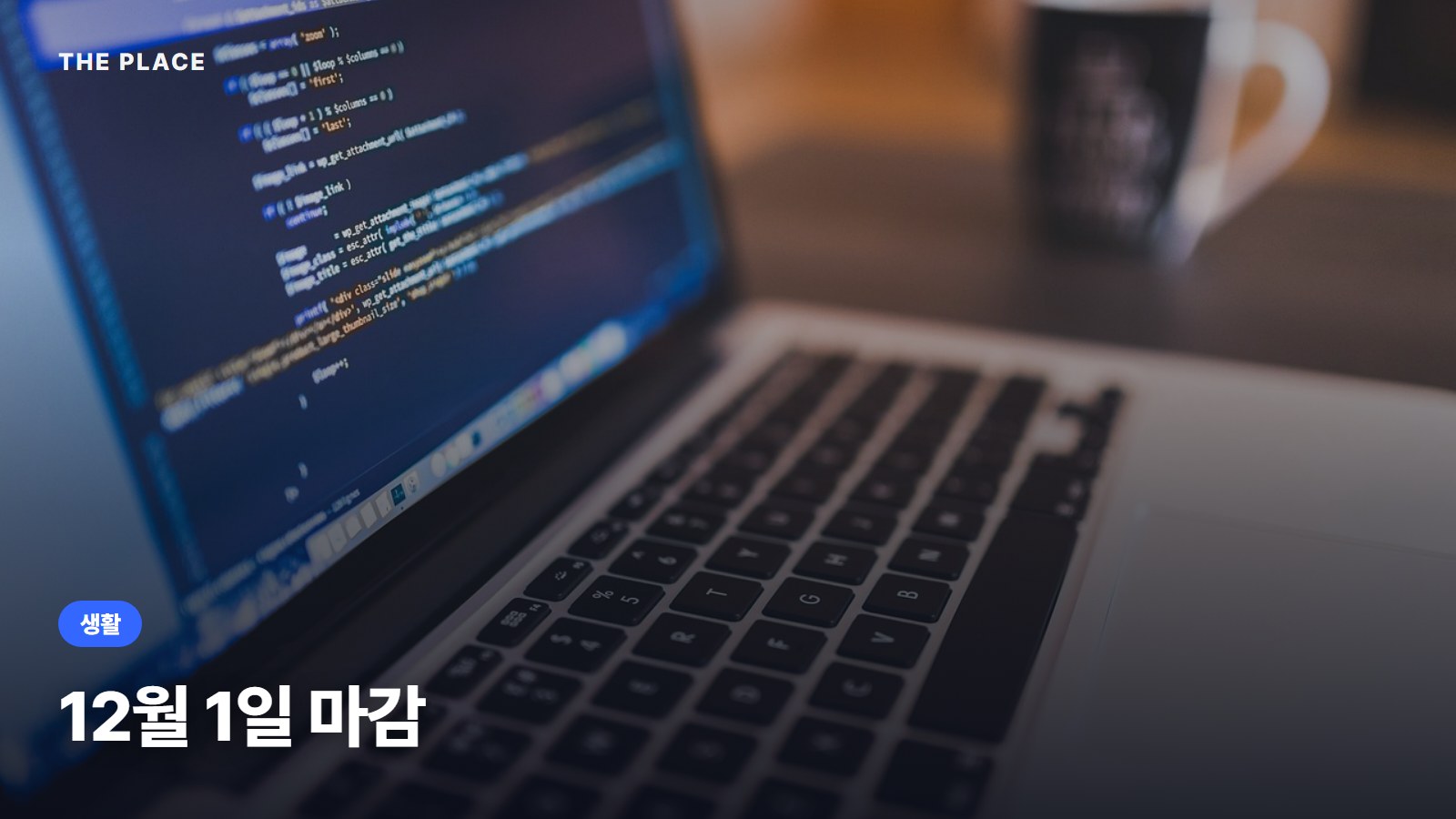 12월 1일 마감