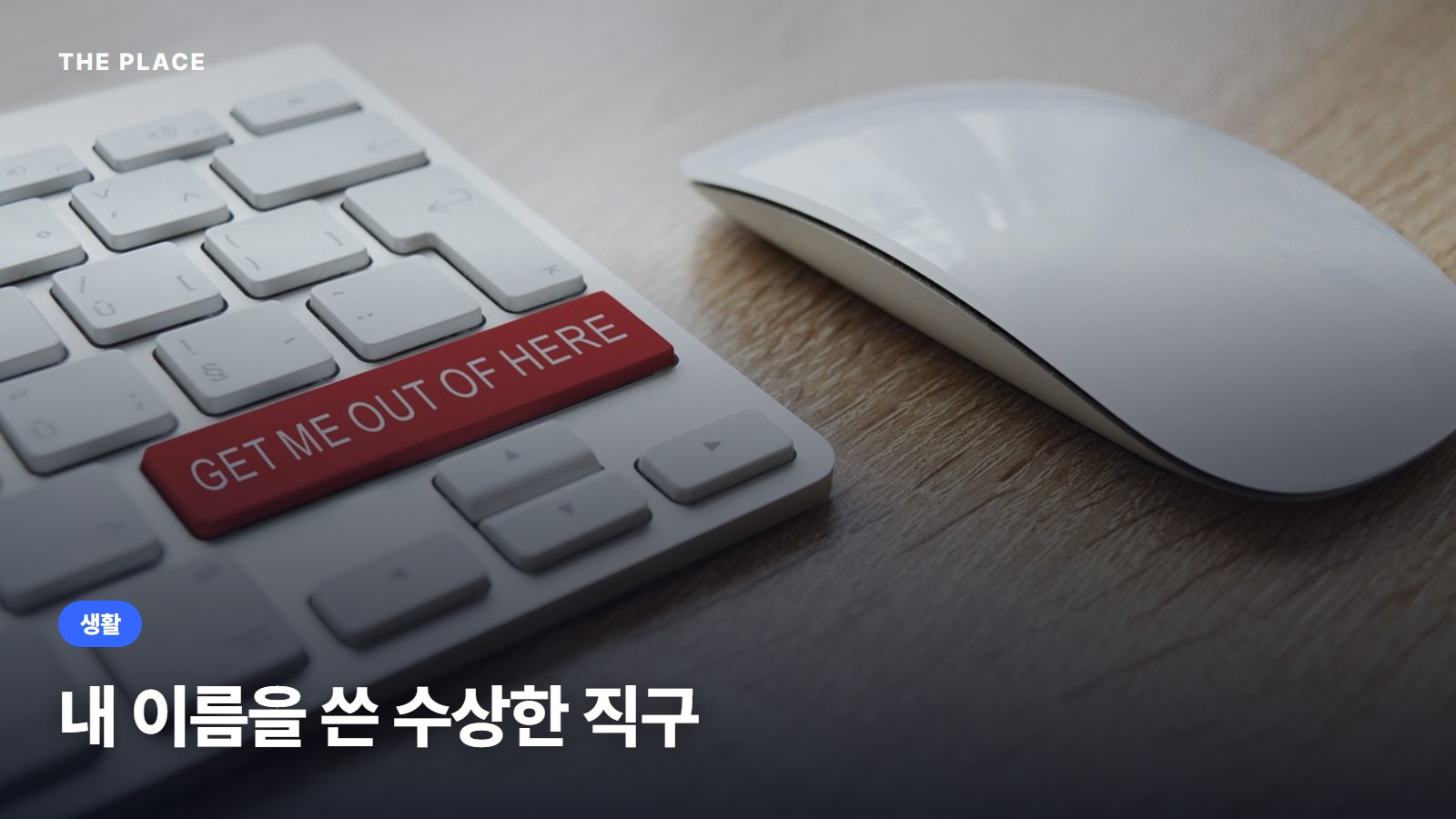 내 이름을 쓴 수상한 직구