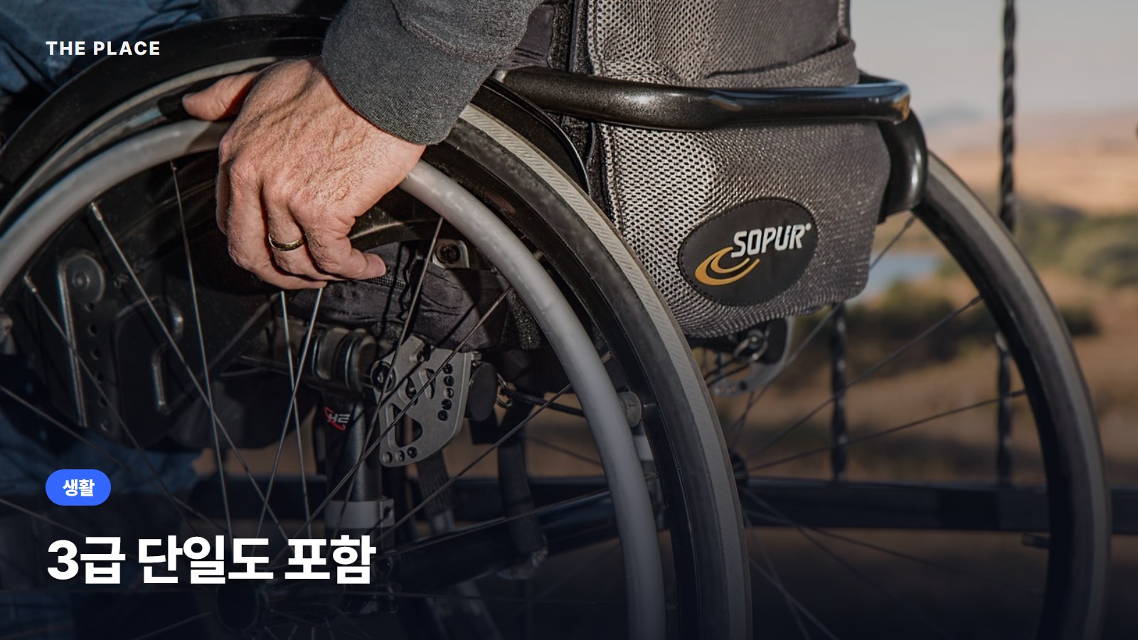 3급 단일도 포함