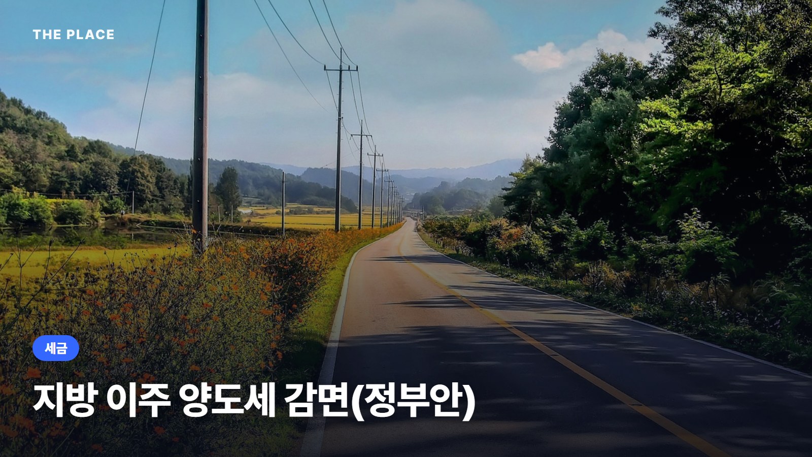 지방 이주 양도세 감면(정부안)