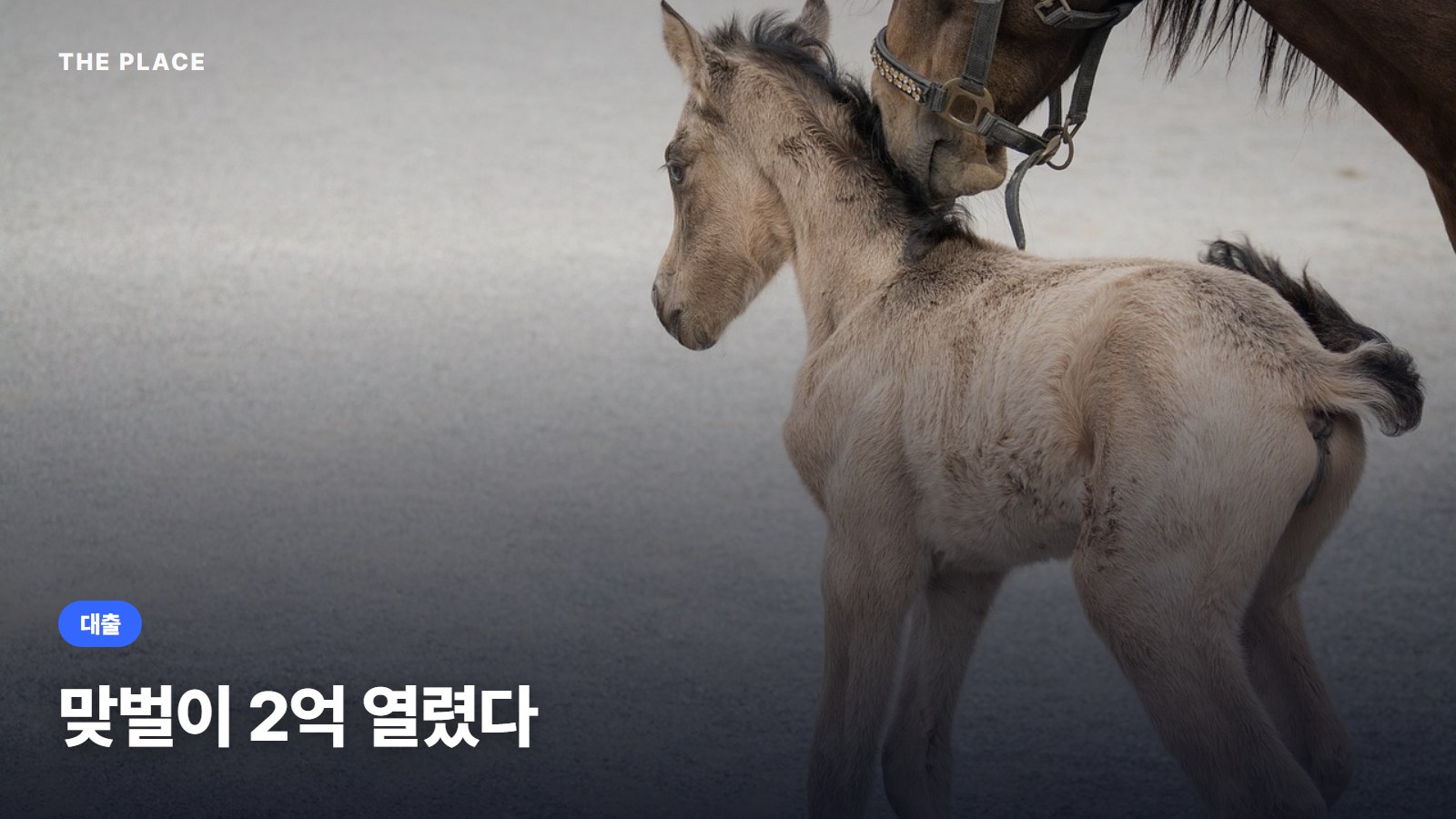 맞벌이 2억 열렸다