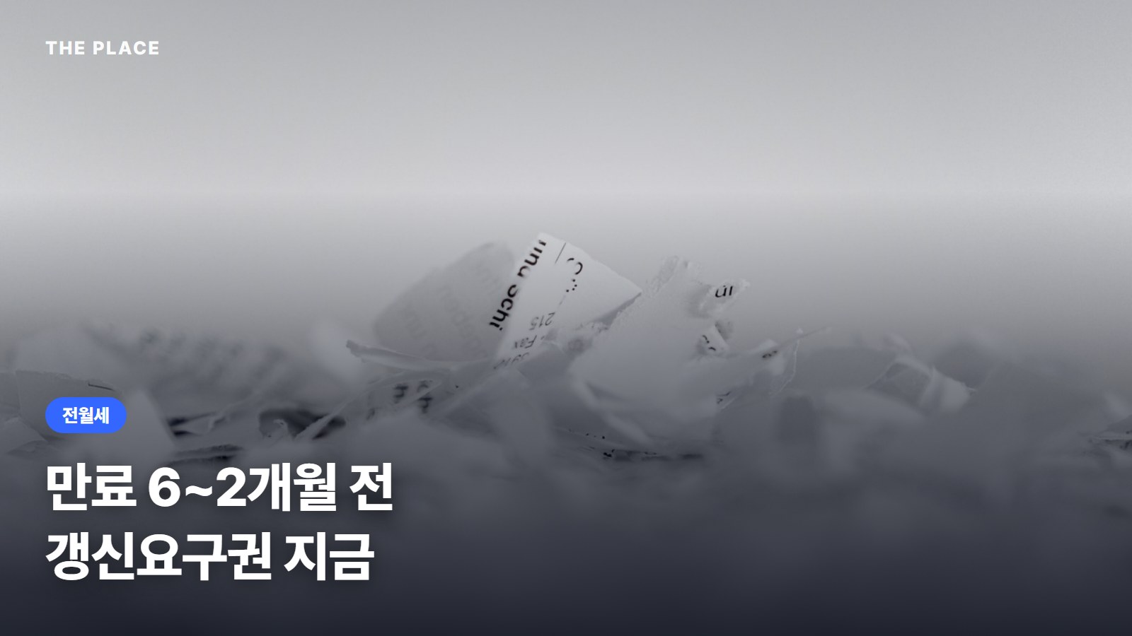 만료 6~2개월 전 갱신요구권 지금