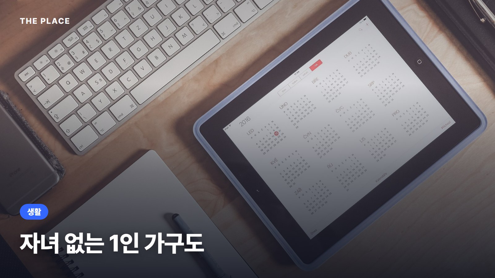 자녀 없는 1인 가구도