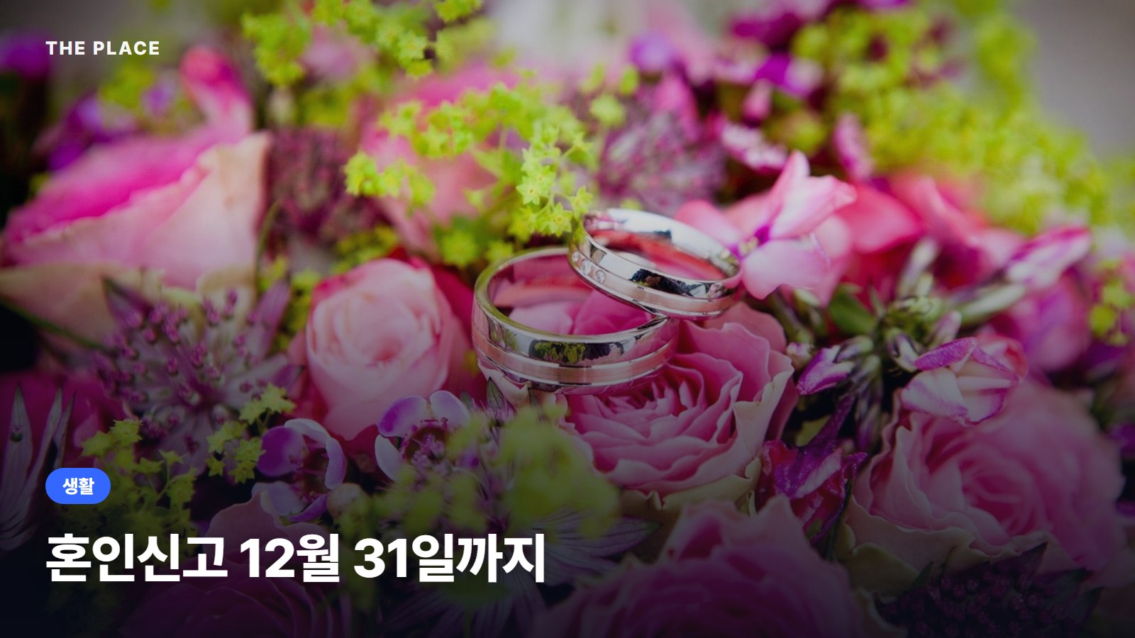 혼인신고 12월 31일까지